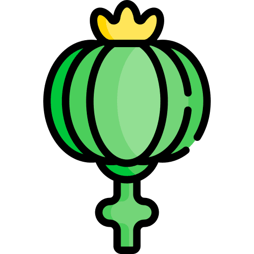 Opium drug medicine opium icon