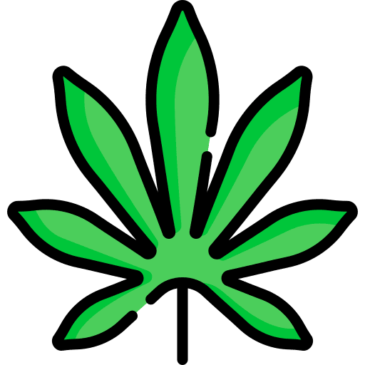 Cannabis weed botanical cannabis icon
