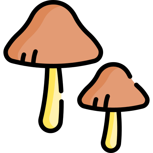 Mushroom fungi hallucinogen nature icon