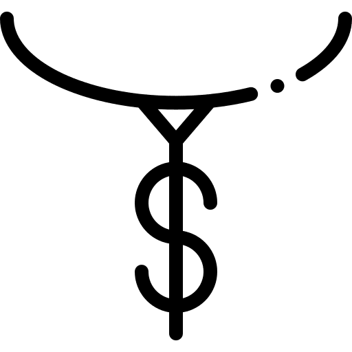 Necklace fashion dollar golden icon