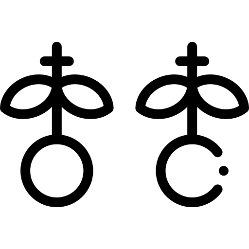 Earrings accessory fashion jewelry icon