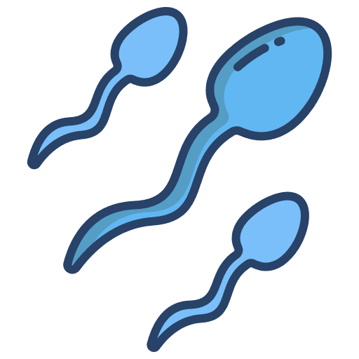 Sperms fertility masculine reproductive system icon