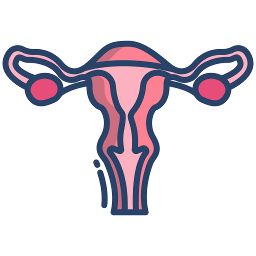 Uterus ovaries female organs healthcare and medical icon