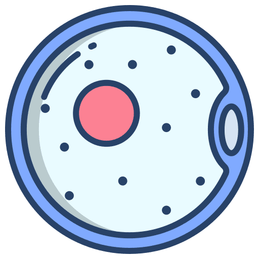Ovum fertilization kid and baby sperm icon