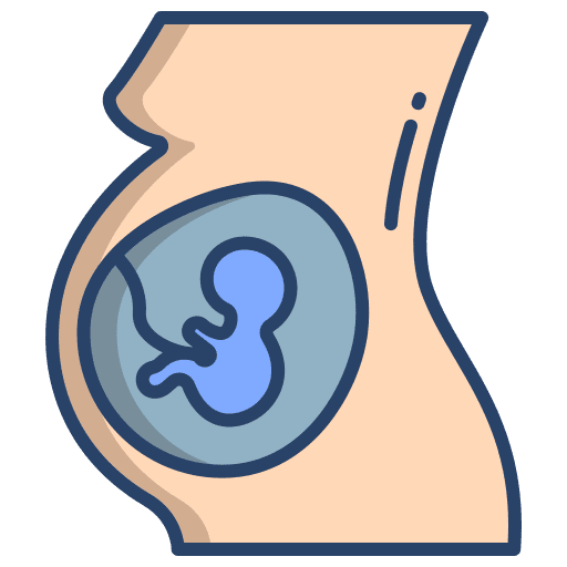 Pregnancy people fertility reproduction icon