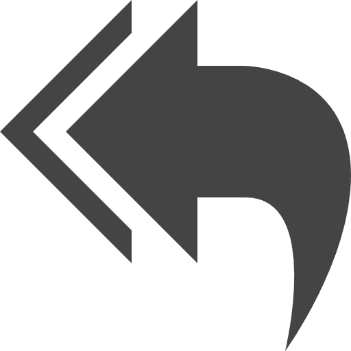 Reply all camera back orientation directional icon