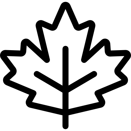 Maple leaf leaf maple leaf maple syrup icon