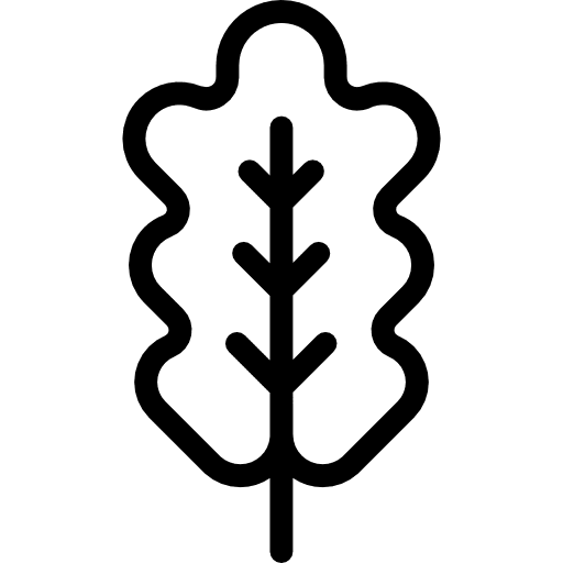 Oak leaf leaf garden nature icon