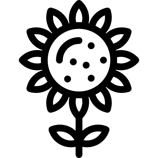 Sunflower nature botanical sunflower icon