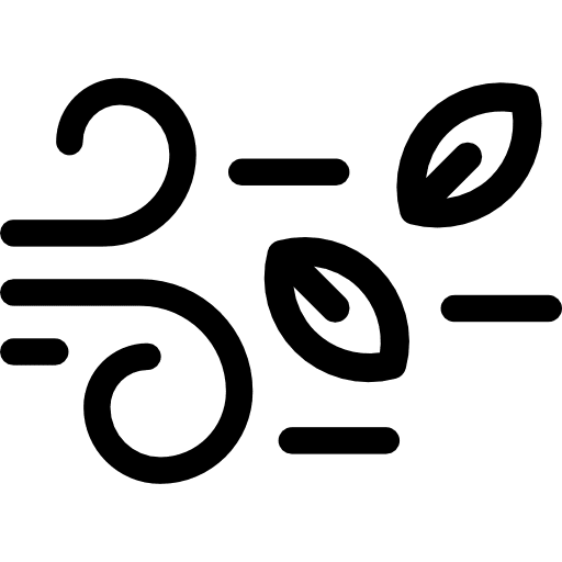 Wind bird weather animal icon