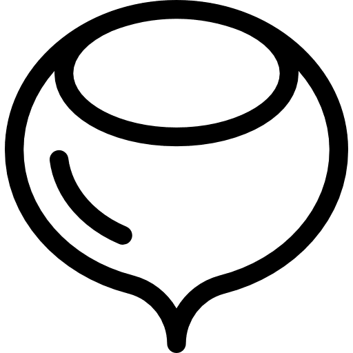 Hazelnut seeds hazelnuts seed icon