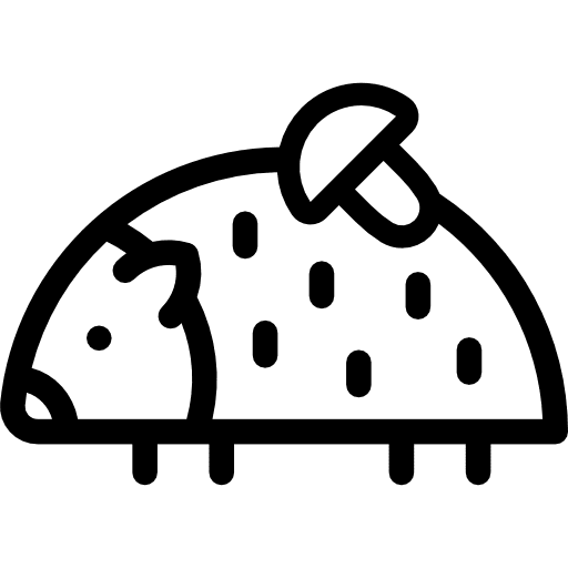 Hedgehog animals hedgehog zoo icon