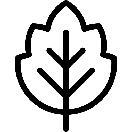 Leaf plant nature leaf icon