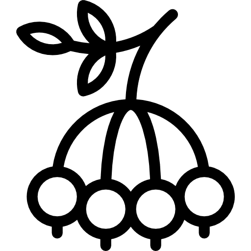 Berry food and restaurant berry bouquet icon