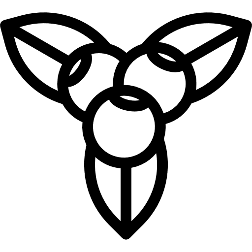 Blueberries food healthy blueberries icon