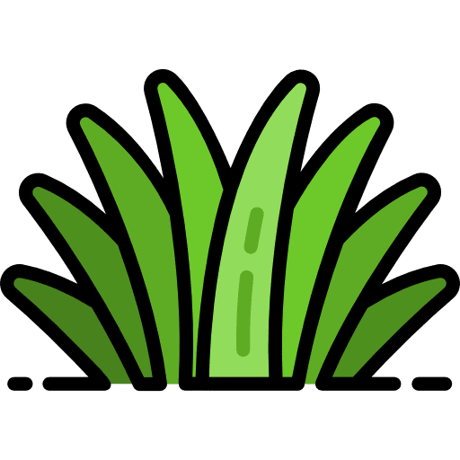 Grass plant grass leaves icon