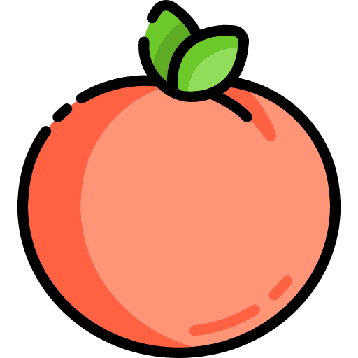 Apricot food apricot vegetarian icon