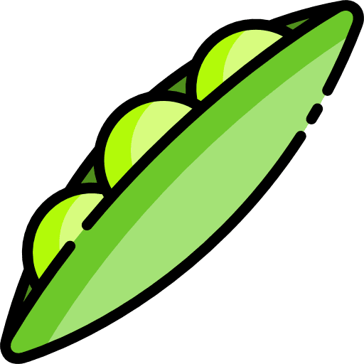 Beans vegan beans organic icon