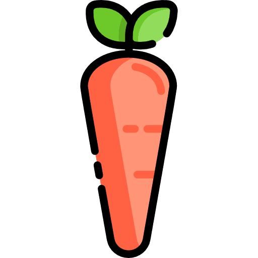 Carrot vegetable vegetarian food icon