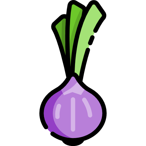 Onion diet nature onion icon