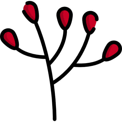 Branch barley food leaves icon