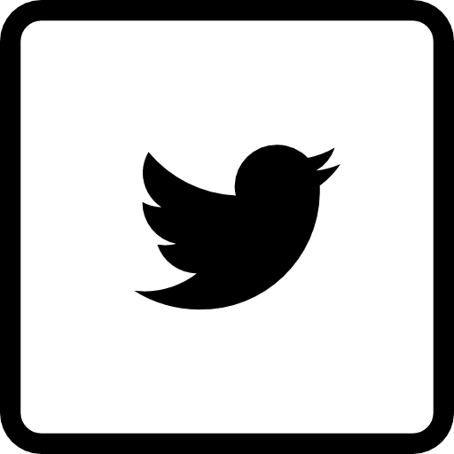 Twitter custom twitter twitter logo icon