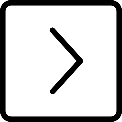 Right arrow right arrow skip next icon