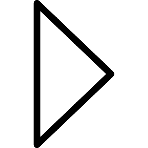 Right arrow skip next orientation icon