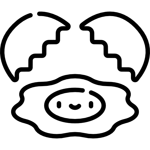 Egg fried food egg icon