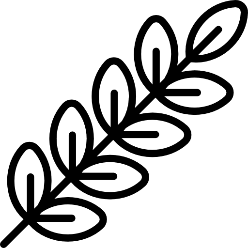 Wheat food grains grain icon