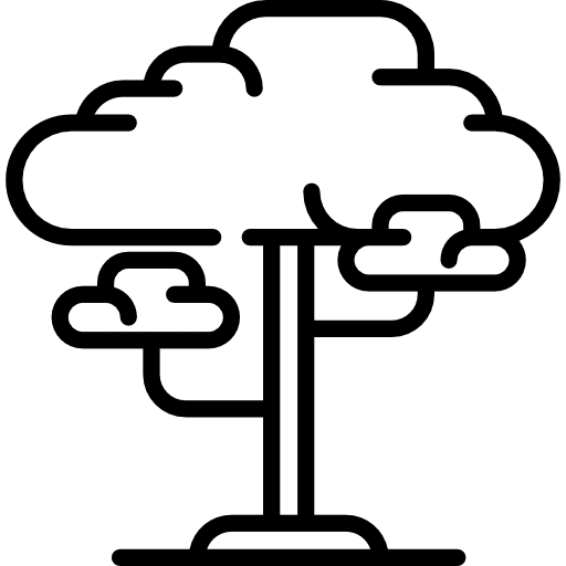 Tree botanical tree fruit tree icon