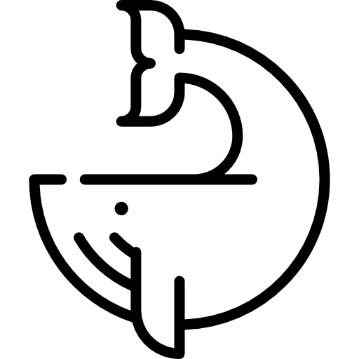 Whale ocean wildlife mammal icon