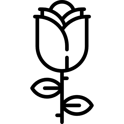 Rose flower petals botanical icon