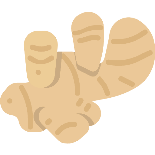 Ginger ingredient food food and restaurant icon