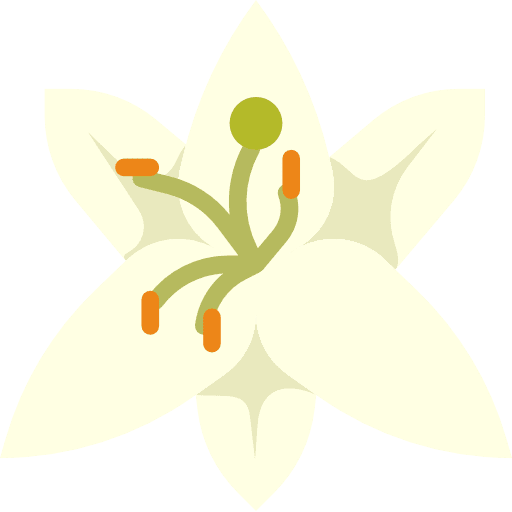 Lily nature petals flower icon