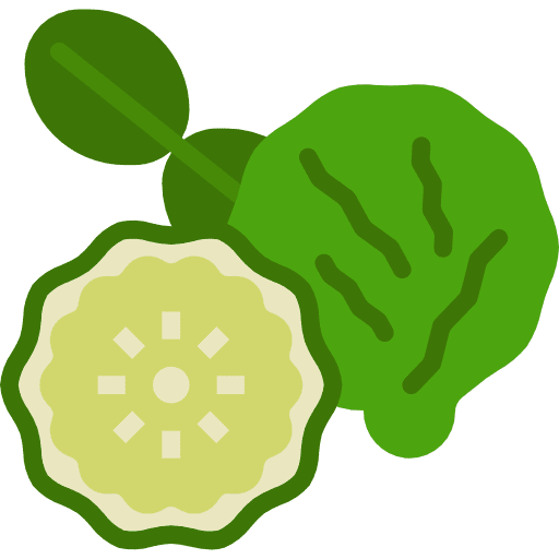 Bergamot fruit healthcare properties icon