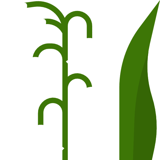 Lily nature blossom flower icon