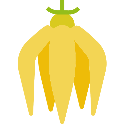 Ylang-ylang essential oil ylang-ylang scent icon