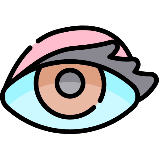 Eye beauty make up eye icon