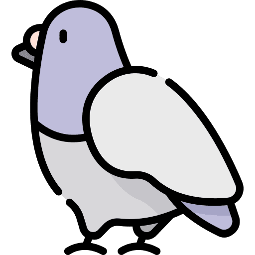 Pigeon animals fly park icon