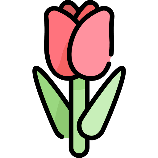 Tulip blossom botanical nature icon