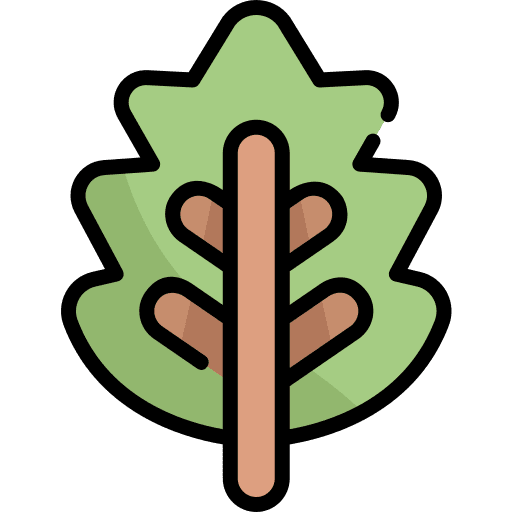 Leaf garden nature oak leaf icon