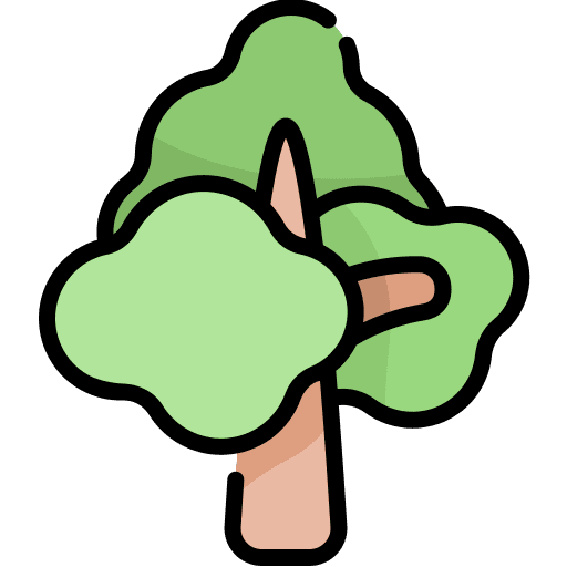 Tree botanical yard tree icon