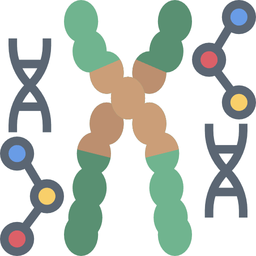 Dna healthcare and medical chromosomes chromosome icon