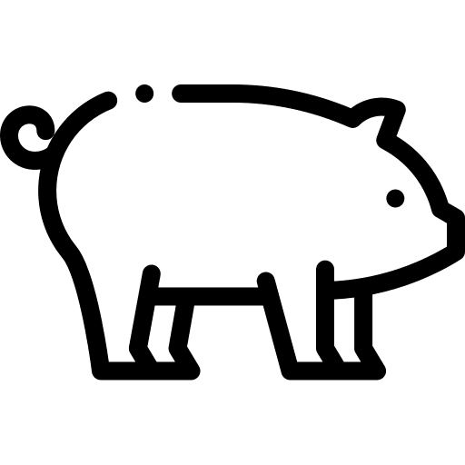 Animal animal animals pig icon