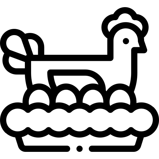 Animals chicken egg carton carton icon