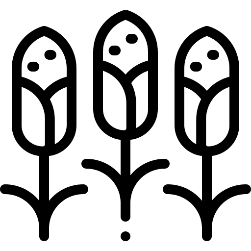 Cereal diet cereal farming and gardening icon