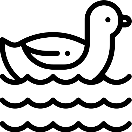Animal bird ducks duck icon