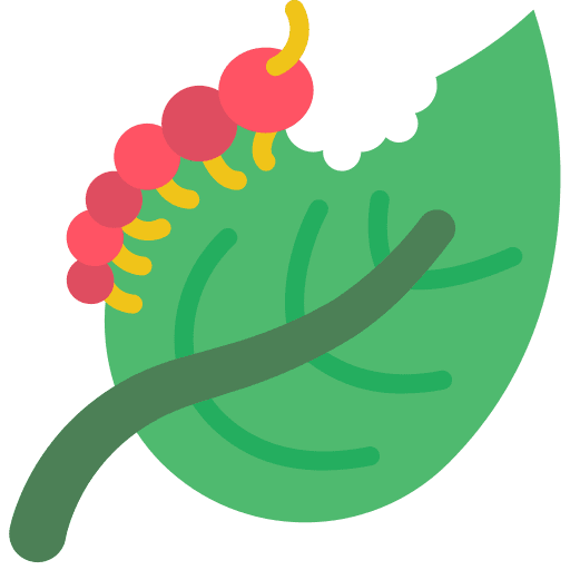Caterpillar caterpillar animals bug icon