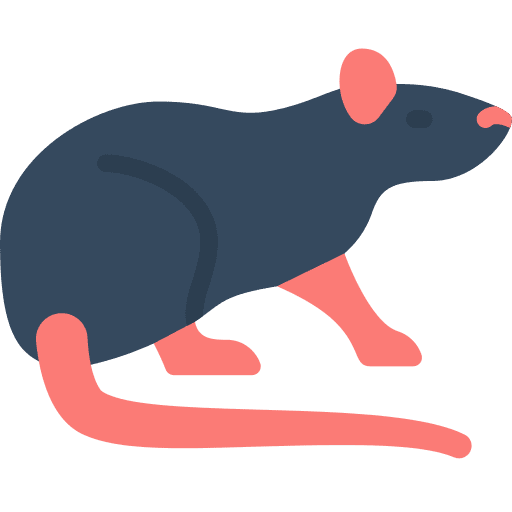 Rat rodent mouse wildlife icon